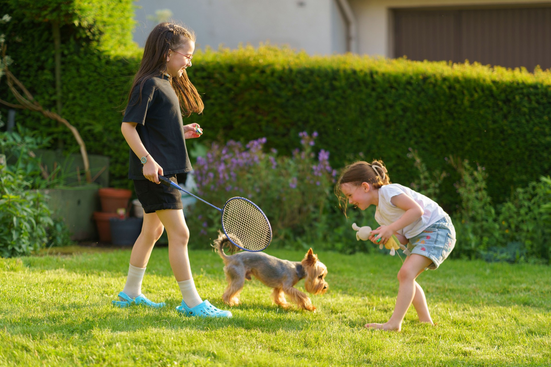 Cute little Yorkshire Terrier playing with kids on the lawn in the backyard. Healthy and active dog concept